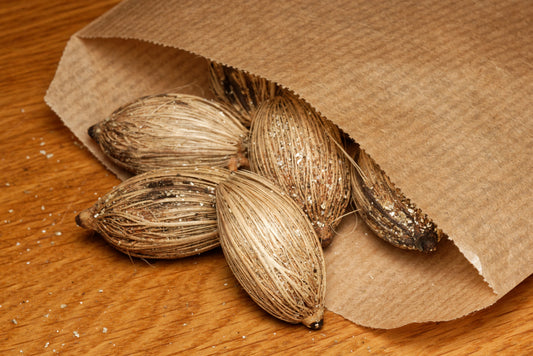 De store flotte frø af Julepalmen (Adonidia merrillii)
