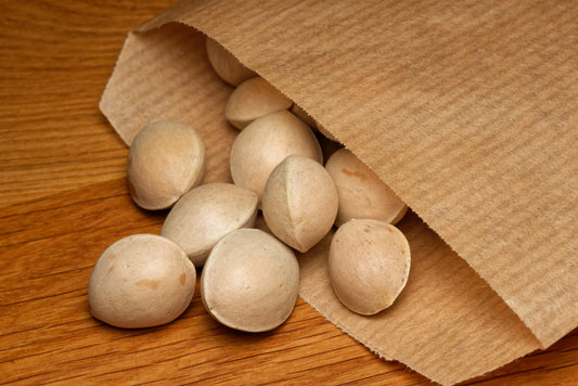 De store smukke frø af Tempeltræet (Ginkgo biloba)