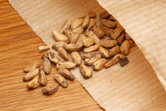 Frø fra Granatæble (Punica granatum)
