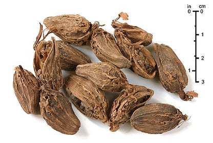 Sort kardemomme (Amomum subulatum) kapsler