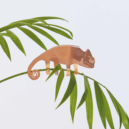 Chameleon (koppar - begränsad upplaga)