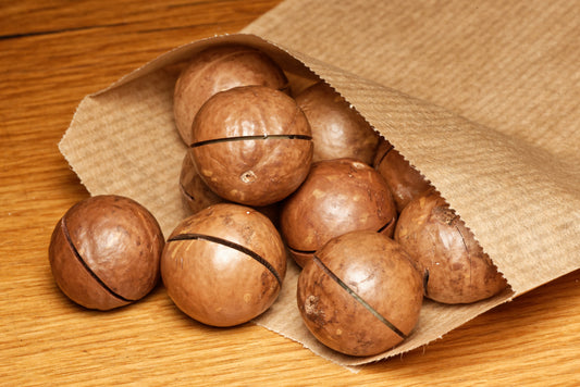De smukke frø af Macadamia nød (Macadamia ternifolia) i brun papirspose