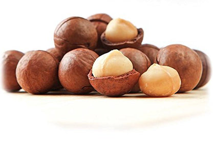 Bunke med åbne og lukkede nødder af Macadamia nød (Macadamia ternifolia)