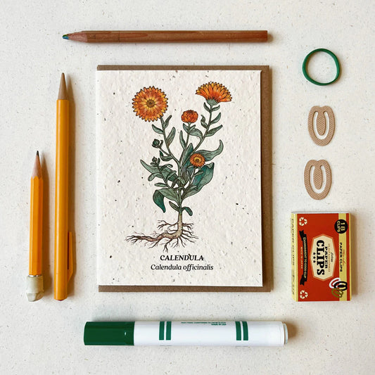 Plantebart postkort med motiv af en morgenfrue. Kortet er omringet af lidt matchende orange pynt