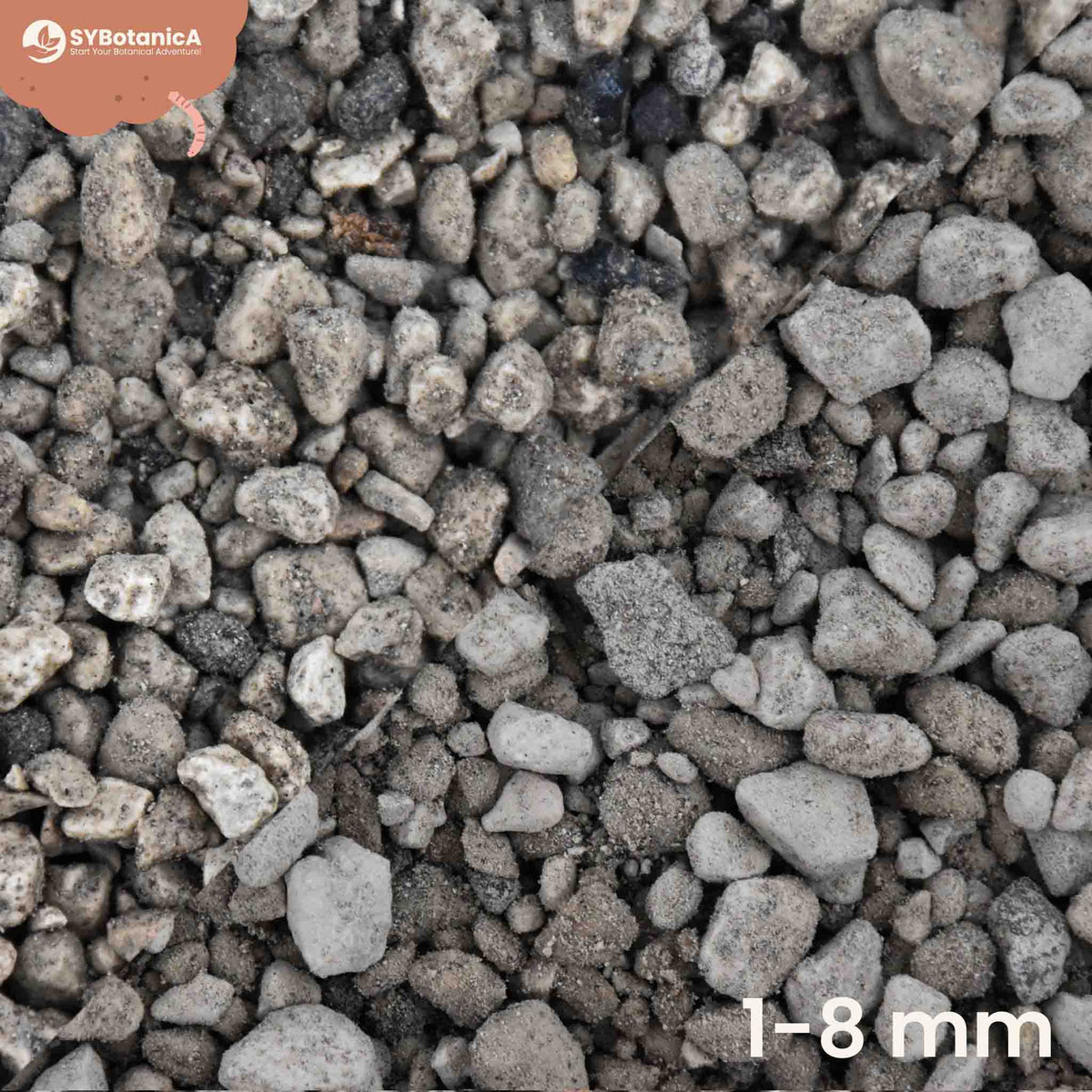Nærbillede af pumice eller pimpsten
