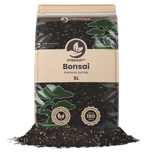 Pose med specialjord til Bonsai planter
