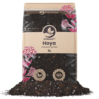 Pose med specialjord til Hoya planter