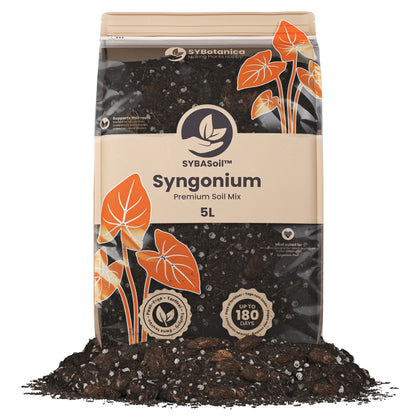 Flot pose med jord til Syngonium planter