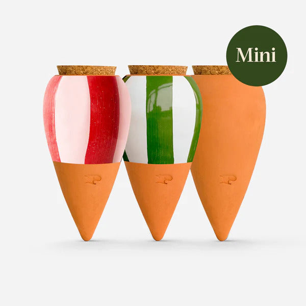 Holiday Water (Mini 3-pack, randig)