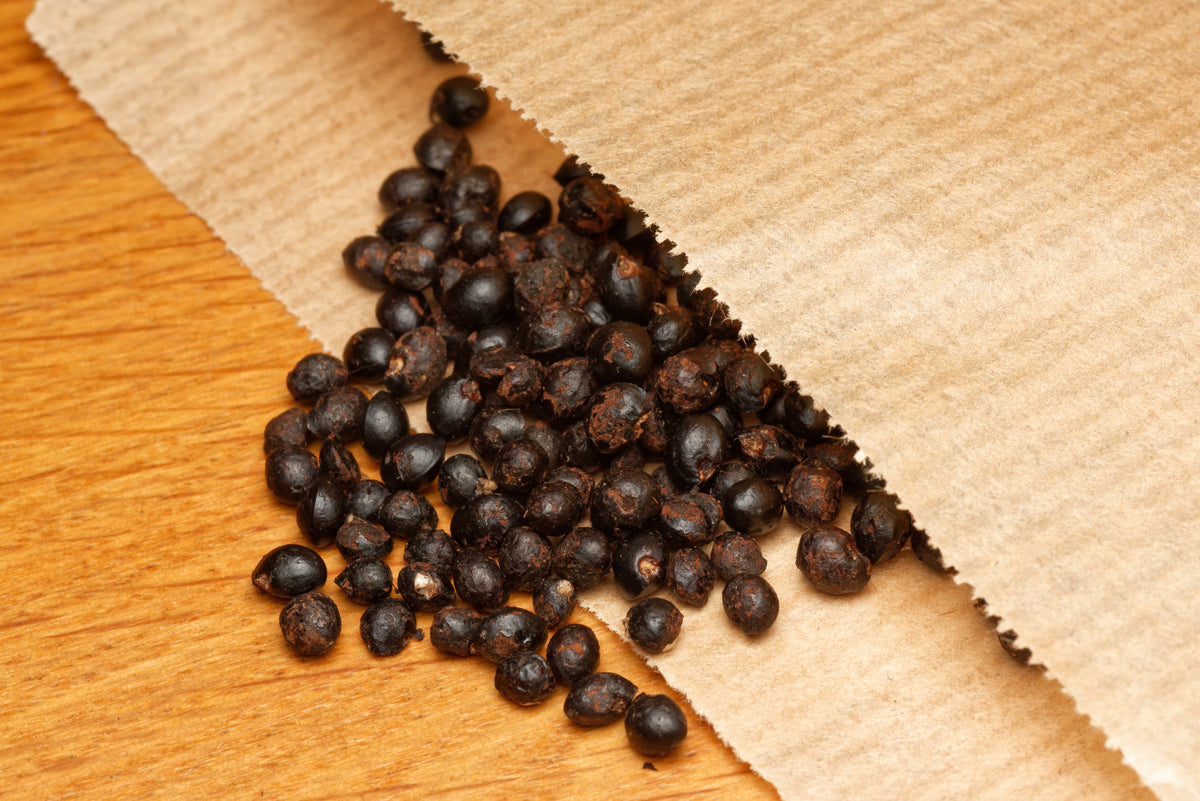 Frø af Afrikansk pebertræ (Zanthoxylum capense) i lille brun papirspose