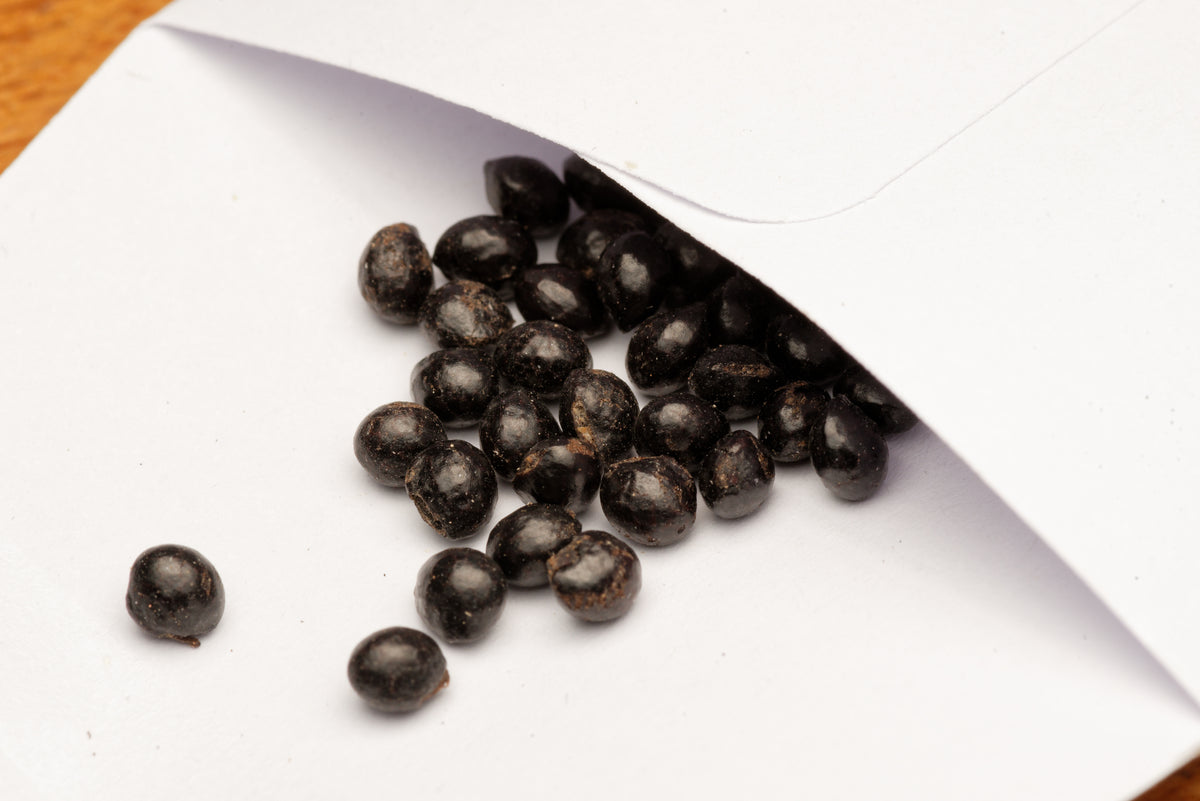 De flotte sorte frø af Tandbørstetræ (Zanthoxylum nitidum) i hvid papirspose