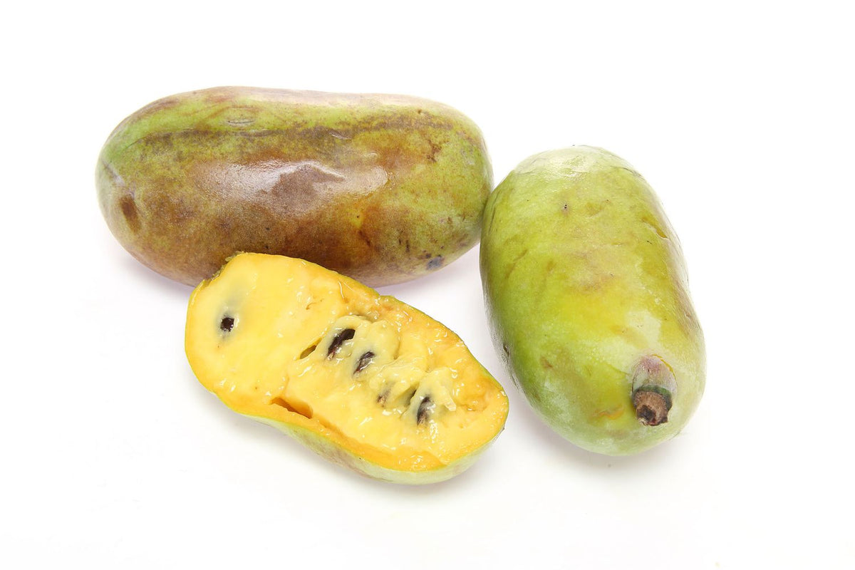 Paw paw frugter fra Paw paw (Asimina triloba)