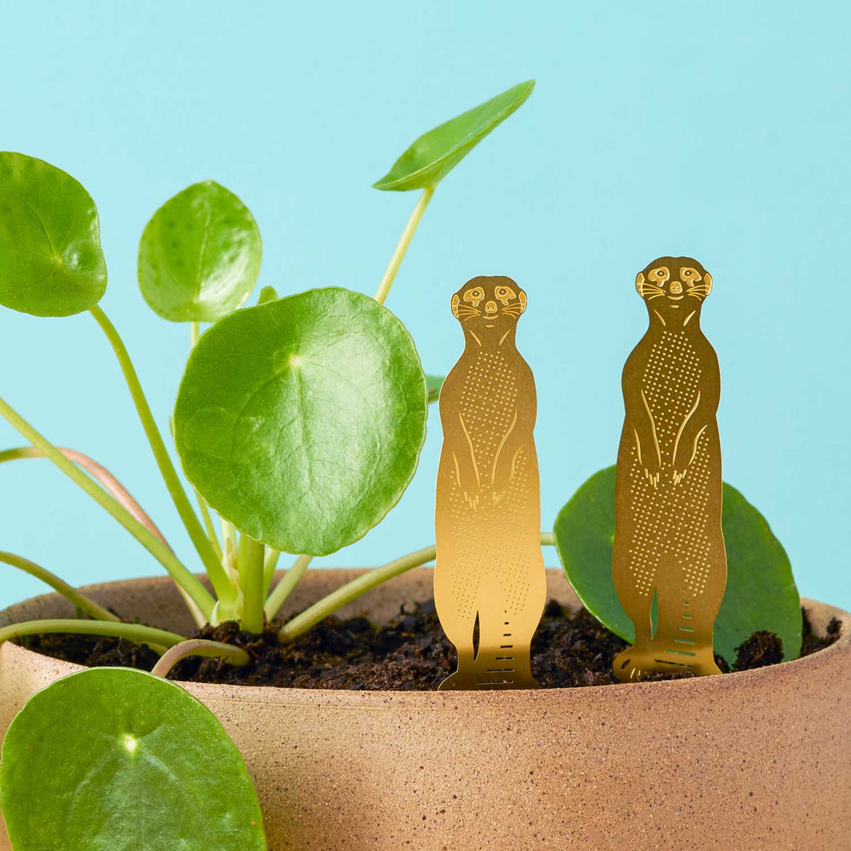 Et par surikater i messing, der sidder i en potteplante