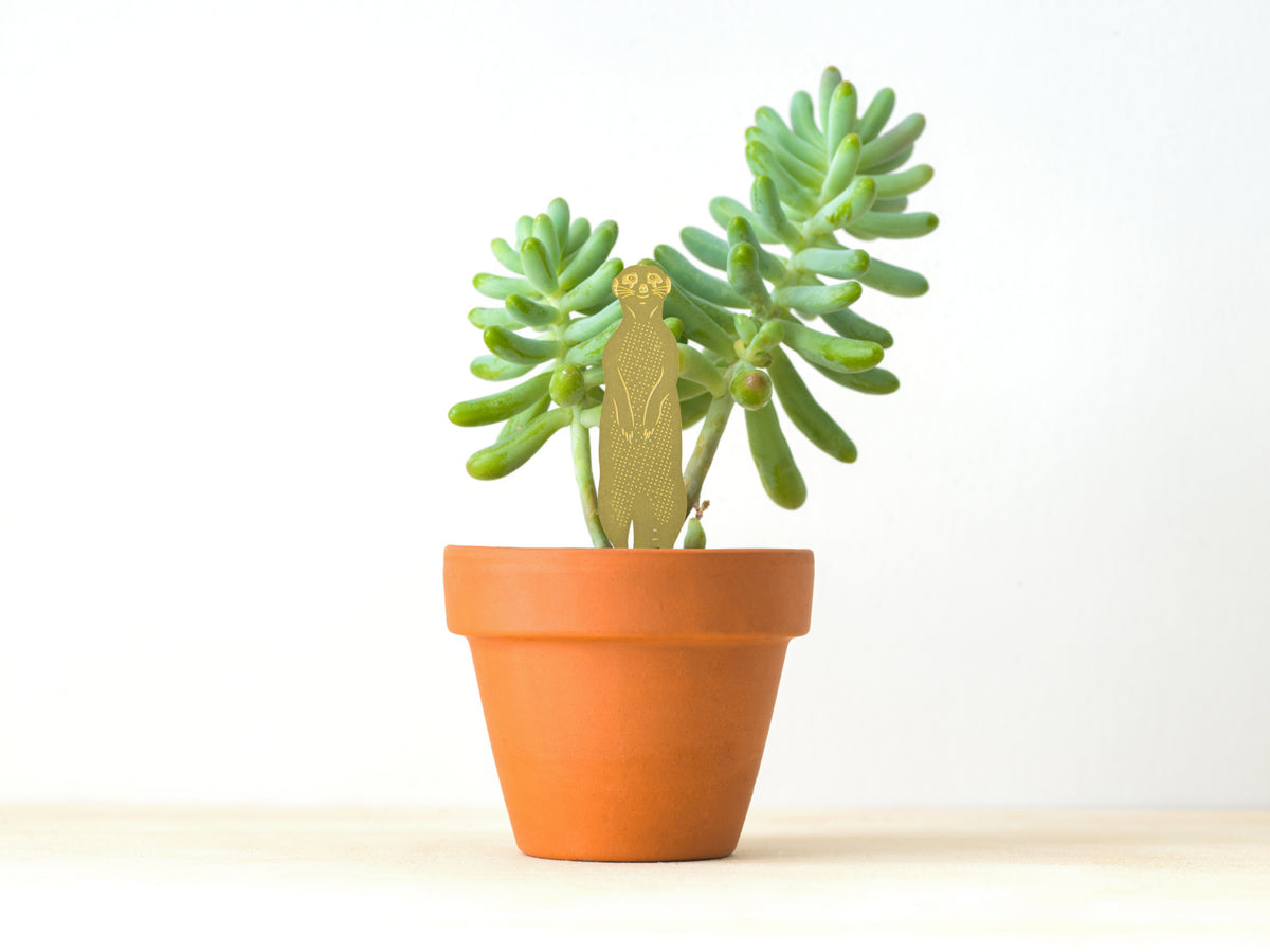 Surikatfigur i messing, der pynter i en potteplante